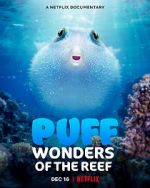 Watch Puff: Wonders of the Reef Online Putlocker