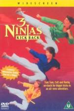Watch 3 Ninjas Kick Back Online Putlocker