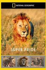 Watch National Geographic: Super Pride Africa\'s Largest Lion Pride Online Putlocker