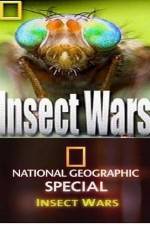 Watch National Geographic Insect Wars Putlocker