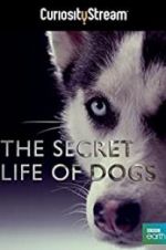 Watch Secret Life of Dogs Online Putlocker