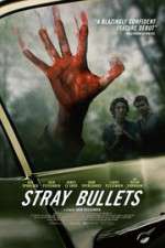 Watch Stray Bullets Putlocker