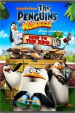 Watch Penguins of Madagascar New to the Zoo Online Putlocker