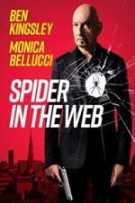 Watch Spider in the Web Putlocker