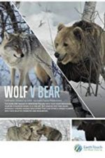 Watch Wolf vs Bear Putlocker