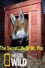 Watch The Secret Life of Mr. Fox Online Putlocker