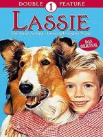 Watch Lassie: A New Beginning Online Putlocker