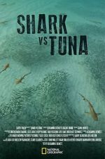 Watch Shark vs Tuna Online Putlocker