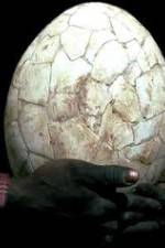 Watch Attenborough And The Giant Egg Online Putlocker