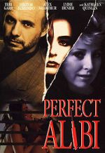 Watch Perfect Alibi Online Putlocker
