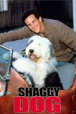 Watch The Shaggy Dog Online Putlocker