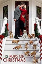 Watch 12 Pups of Christmas Online Putlocker