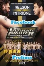 Watch The Ultimate Fighter 16 Finale Facebook Fights Putlocker