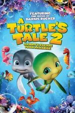 Watch A Turtle\'s Tale 2: Sammy\'s Escape from Paradise Online Putlocker