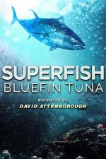 Watch Superfish Bluefin Tuna Putlocker