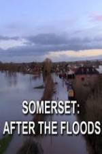 Watch Somerset: After the Floods Putlocker