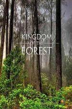 Watch National Geographic Kingdom of the Forest Putlocker