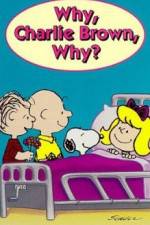 Watch Why Charlie Brown Why Putlocker