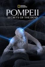 Watch Pompeii: Secrets of the Dead (TV Special 2019) Online Putlocker