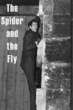 Watch The Spider and the Fly Online Putlocker