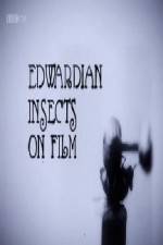 Watch Edwardian Insects on Film Putlocker