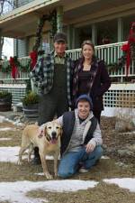 Watch Hallmark Hall of Fame A Dog Named Christmas Putlocker