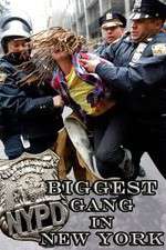 Watch NYPD: Biggest Gang in New York? Putlocker