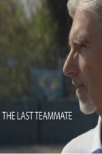 Watch Senna The Last Teammate Putlocker