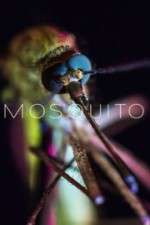 Watch Mosquito Putlocker