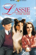Watch Lassie Come Home Online Putlocker