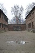 Watch Made in Auschwitz: The Untold Story of Block 10 Online Putlocker