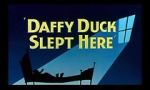Watch Daffy Duck Slept Here (Short 1948) Online Putlocker