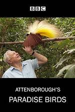 Watch Attenborough's Paradise Birds Putlocker