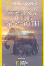 Watch Waking the Baby Mammoth Putlocker