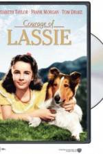 Watch Courage of Lassie Online Putlocker