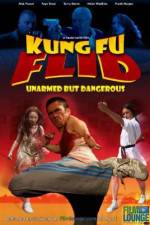 Watch Kung Fu Flid Online Putlocker