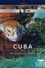 Watch Cuba: The Accidental Eden Putlocker