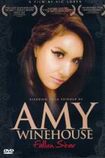 Watch Amy Winehouse Fallen Star Online Putlocker