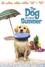 Watch The Dog Who Saved Summer Putlocker