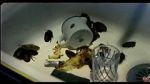 Watch Coup de lune (TV Short 2000) Online Putlocker