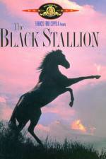 Watch The Black Stallion Online Putlocker