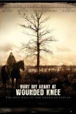 Watch Bury My Heart at Wounded Knee Putlocker