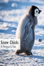 Watch Snow Chick: A Penguin's Tale Putlocker