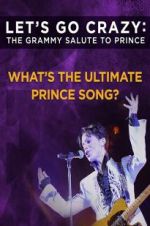 Watch Let\'s Go Crazy: The Grammy Salute to Prince Putlocker
