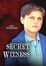 Watch Secret Witness Online Putlocker