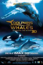 Watch Dolphins and Whales 3D Tribes of the Ocean Putlocker