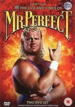 Watch The Life and Times of Mr. Perfect Putlocker