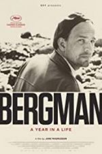 Watch Bergman: A Year in the Life Putlocker