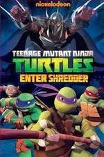 Watch Teenage Mutant Ninja Turtles: Enter Shredder Online Putlocker