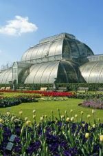 Watch Cruickshank on Kew: The Garden That Changed the World Online Putlocker